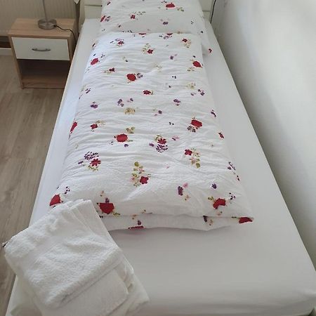 Privatzimmer An Der Universitaetsklinik Mainz. Sehr Zentral מראה חיצוני תמונה